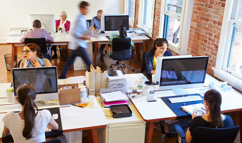 business people working in an a small office 